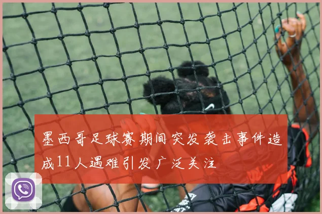 墨西哥足球赛期间突发袭击事件造成11人遇难引发广泛关注